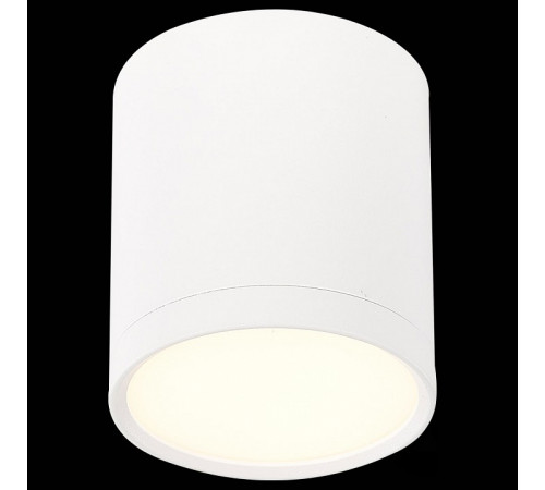 Потолочный светильник ST Luce Rene ST113.532.05
