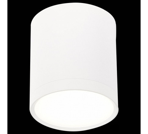 Потолочный светильник ST Luce Rene ST113.542.05