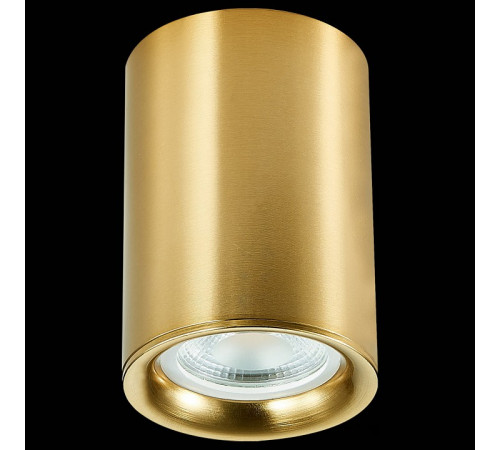 Накладной светильник ST Luce ST114 ST114.207.01 Накладной светильник ST Luce ST114 ST114.207.01