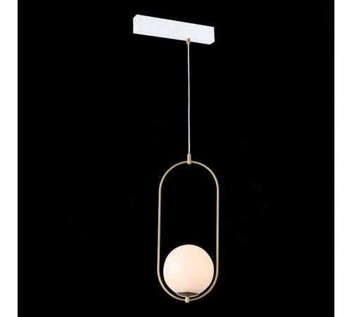 Трековый светильник ST Luce Skyline 220 ST500.203.01