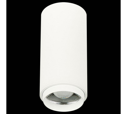 Потолочный светильник ST Luce Zoom ST600.532.10