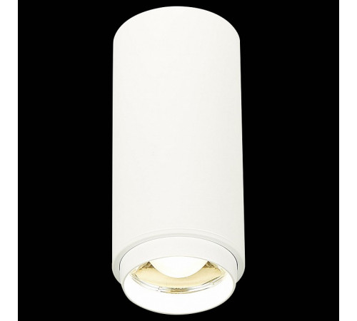 Потолочный светильник ST Luce Zoom ST600.542.10