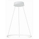 Подвесной светильник ST Luce ST603 In ST603.543.22