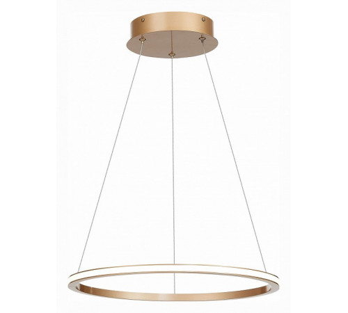 Подвесной светильник ST Luce ST604 Out ST604.243.22 Подвесной светильник ST Luce ST604 Out ST604.243.22