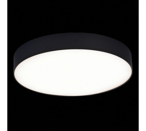 Потолочный светильник ST Luce ST606.442.48
