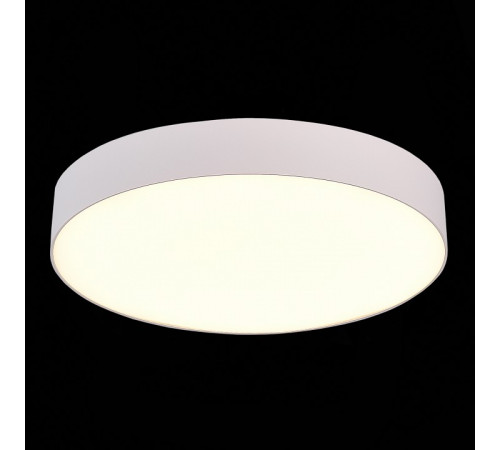 Потолочный светильник ST Luce ST606.532.48 Потолочный светильник ST Luce ST606.532.48