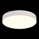 Потолочный светильник ST Luce ST606.532.48
