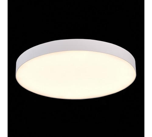 Потолочный светильник ST Luce ST606.532.96 Потолочный светильник ST Luce ST606.532.96