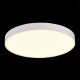 Потолочный светильник ST Luce ST606.532.96