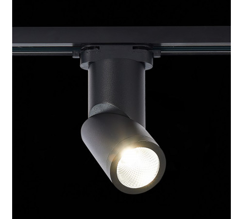 Трековый светодиодный светильник ST Luce ST650.436.10
