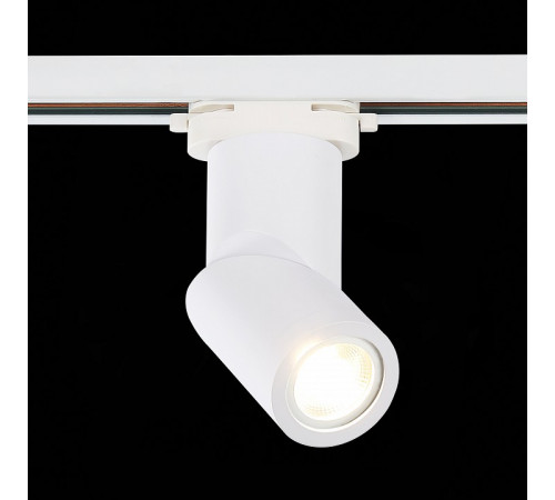 Трековый светильник ST Luce ST650.506.01