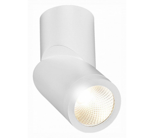 Светодиодный спот ST Luce ST650.532.10 Светодиодный спот ST Luce ST650.532.10