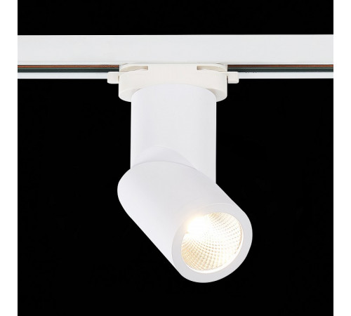 Трековый светодиодный светильник ST Luce ST650.546.10