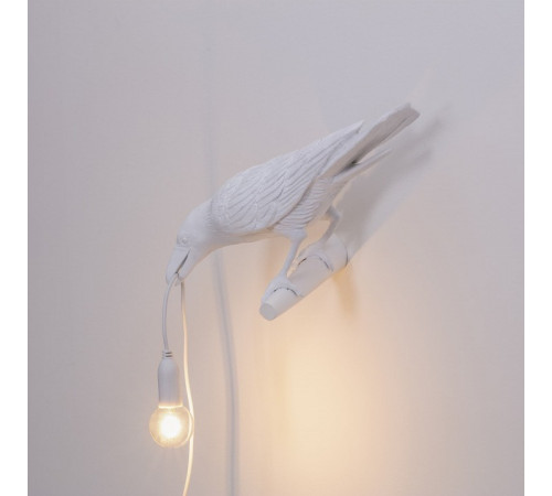 Настенный светильник Seletti Bird Lamp 14734