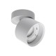 Спот Wolta Basic WSL-GX53/02W