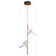 Подвесная люстра Zortes Floret ZRS.01201.02