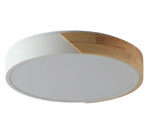 Потолочный светильник Zortes Alberro ZRS.01239.90 Потолочный светильник Zortes Alberro ZRS.01239.90