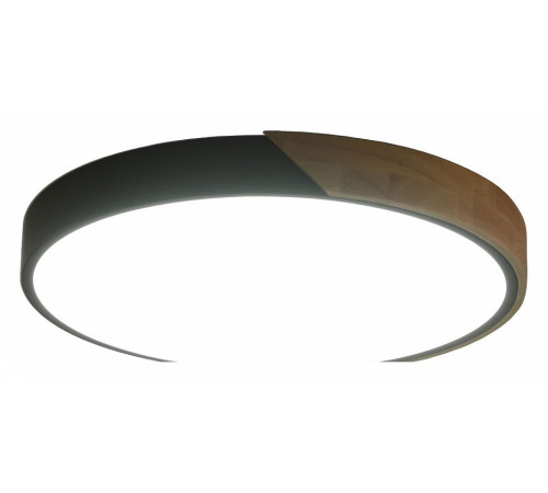 Потолочный светильник Zortes Alberro ZRS.01280.90 Потолочный светильник Zortes Alberro ZRS.01280.90
