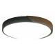 Потолочный светильник Zortes Alberro ZRS.01280.90