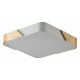 Потолочный светильник Zortes Alberro ZRS.01285.60