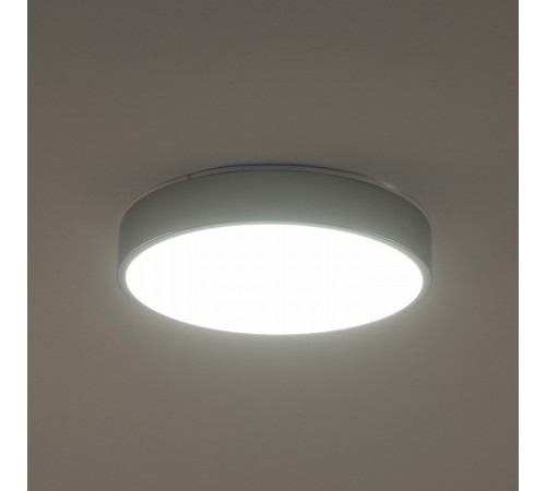 Потолочный светильник Zortes Tortty ZRS.02565.36