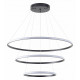 Подвесная люстра Zortes Ringolight ZRS.33320.120C