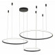 Подвесная люстра Zortes Ringolight ZRS.33320.120F