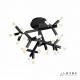 Потолочная светодиодная люстра iLedex Savage FS-017-X25 BK