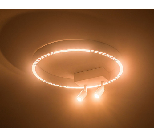 Потолочный светильник Ambrella Light Comfort FL5805 Потолочный светильник Ambrella Light Comfort FL5805