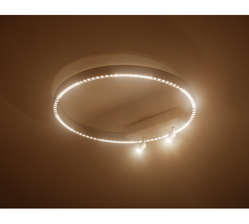 Потолочный светильник Ambrella Light Comfort FL5807 Потолочный светильник Ambrella Light Comfort FL5807
