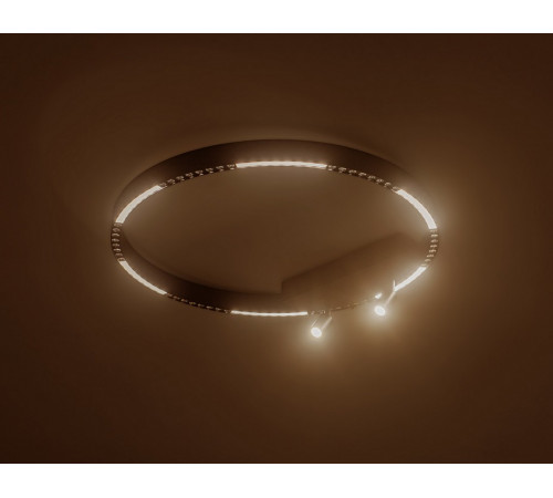 Потолочный светильник Ambrella Light Comfort FL5808 Потолочный светильник Ambrella Light Comfort FL5808