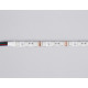 Светодиодная лента Ambrella Light LED Strip 12В 5050 14,4Вт/м RGB 5м IP65 GS2302