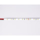 Светодиодная лента Ambrella Light LED Strip 24В 2835 6Вт/м 6500K 5м IP20 GS3003