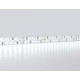 Светодиодная лента двухрядная Ambrella Light LED Strip 24В 2835 24Вт/м 6500K 5м IP20 GS3703