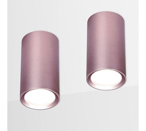 Потолочный светильник Ambrella Light Techno Spot TN220 Потолочный светильник Ambrella Light Techno Spot TN220