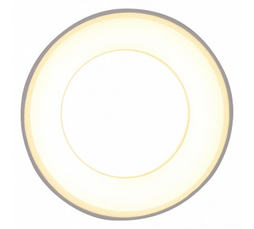 Потолочный светильник Ambrella Light Techno Spot TN3411 Потолочный светильник Ambrella Light Techno Spot TN3411