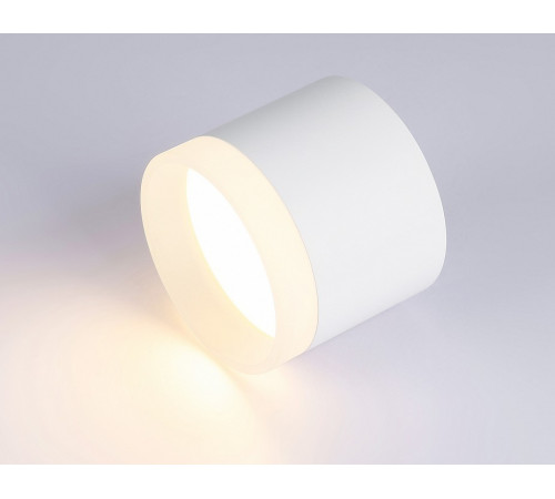 Накладной светильник Ambrella Light Acrylic Frost TN5365 Накладной светильник Ambrella Light Acrylic Frost TN5365