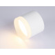 Накладной светильник Ambrella Light Acrylic Frost TN5365