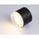 Накладной светильник Ambrella Light Acrylic Frost TN5366