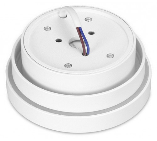 Накладной светильник Ambrella Light TN601 Накладной светильник Ambrella Light TN601