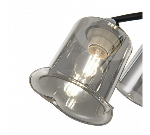 Потолочная люстра Arte Milano Amalfi 323219/3 CR+BK