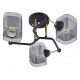 Потолочная люстра Arte Milano Amalfi 324308/3 BK+FG