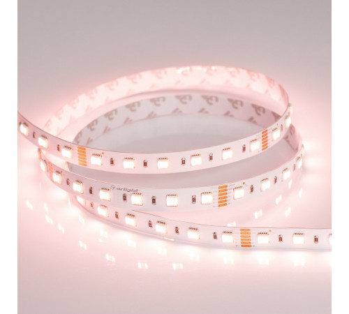 Светодиодная лента Arlight 20W/m 60LED/m 5060SMD разноцветный/холодный белый 5M 026363(2)