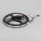 Светодиодная лента Arlight SPI-B60-10mm 12V RGB-PX3 14.4 W/m, IP20, 5060, 5m 026367(2)
