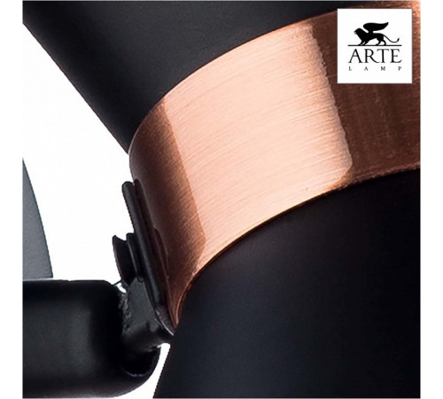 Спот Arte Lamp Baltimore A1406AP-1BK Спот Arte Lamp Baltimore A1406AP-1BK