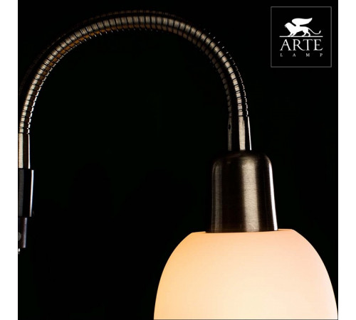 Торшер Arte Lamp Duetto A9569PN-2AB