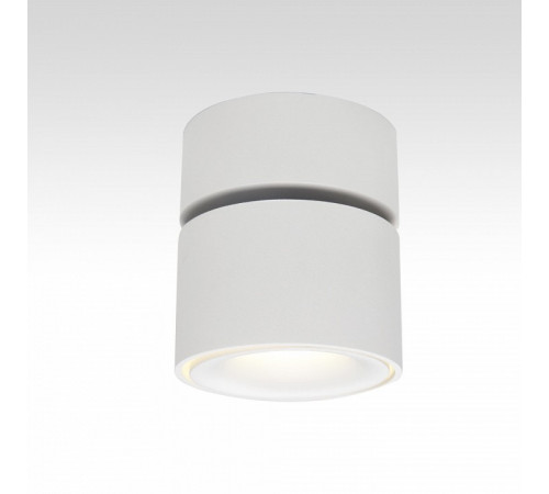Спот Citilux CL558010N Спот Citilux CL558010N