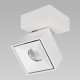 Спот Citilux CL558020N