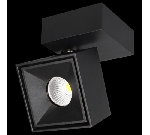 Спот Citilux CL558021N