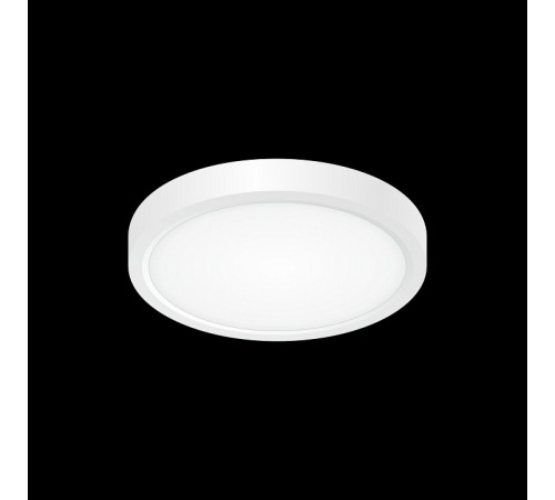 Накладной светильник Citilux CL738120N